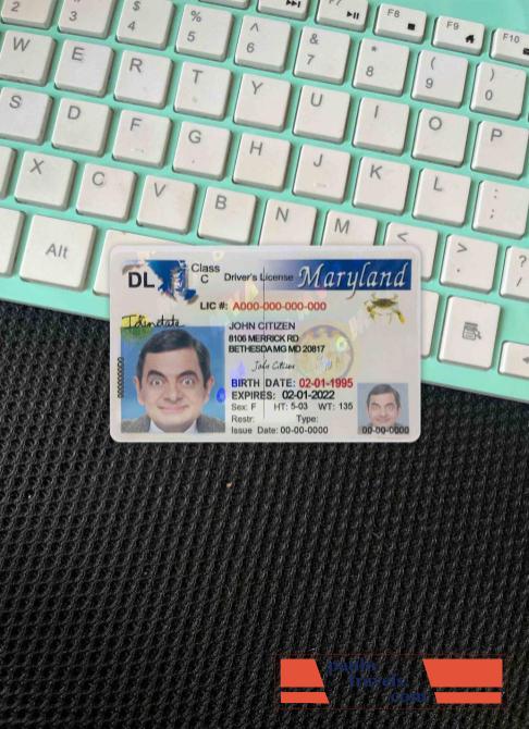 USA Maryland driving license 2003 2016 photolook FRONT PSD template